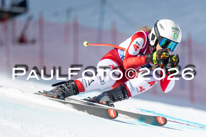 NC + NJC DH ,Frauen + Männer Axamer Lizum 25.03.2026