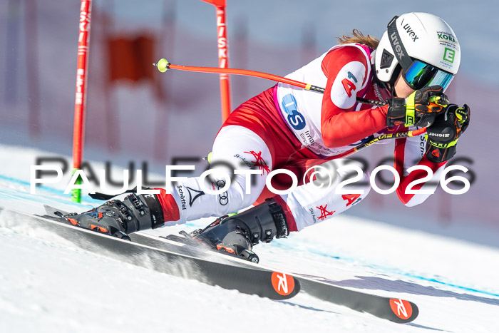 NC + NJC DH ,Frauen + Männer Axamer Lizum 25.03.2026