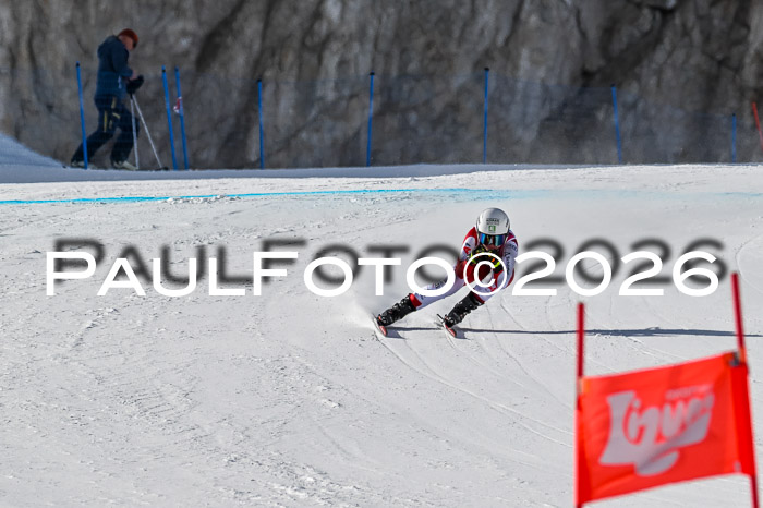 NC + NJC DH ,Frauen + Männer Axamer Lizum 25.03.2026