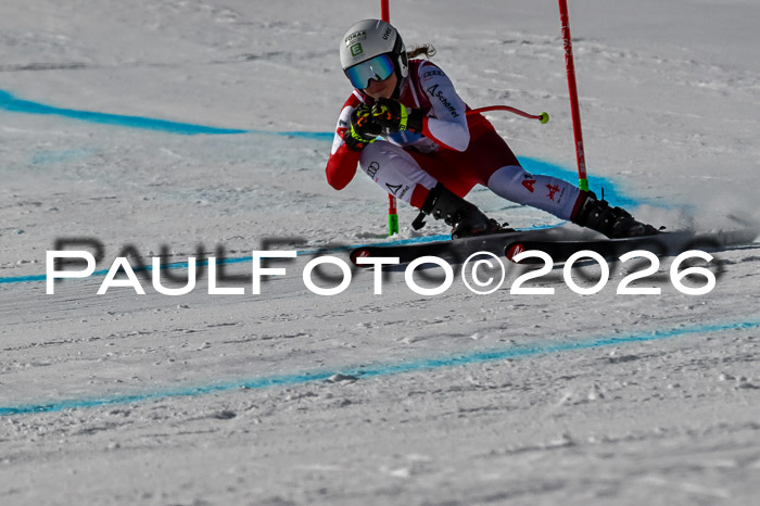 NC + NJC DH ,Frauen + Männer Axamer Lizum 25.03.2026