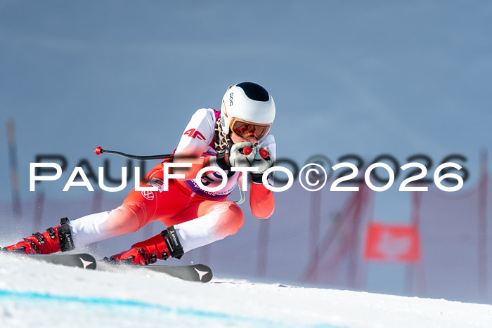 NC + NJC DH ,Frauen + Männer Axamer Lizum 25.03.2026