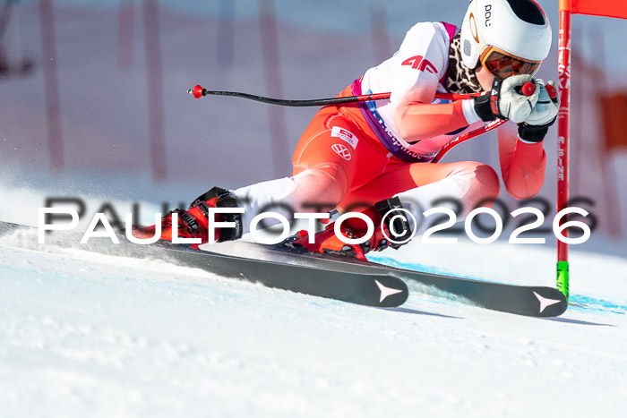 NC + NJC DH ,Frauen + Männer Axamer Lizum 25.03.2026