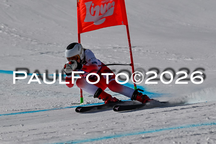 NC + NJC DH ,Frauen + Männer Axamer Lizum 25.03.2026