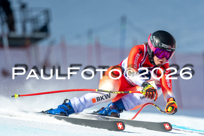 NC + NJC DH ,Frauen + Männer Axamer Lizum 25.03.2026