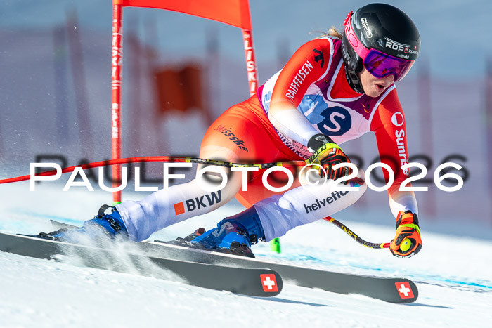 NC + NJC DH ,Frauen + Männer Axamer Lizum 25.03.2026