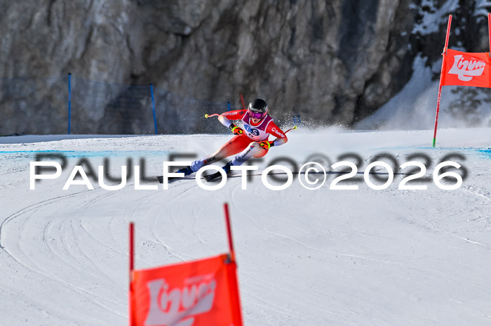 NC + NJC DH ,Frauen + Männer Axamer Lizum 25.03.2026