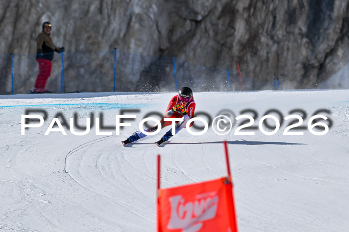 NC + NJC DH ,Frauen + Männer Axamer Lizum 25.03.2026