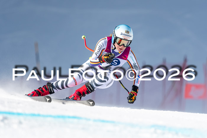 NC + NJC DH ,Frauen + Männer Axamer Lizum 25.03.2026