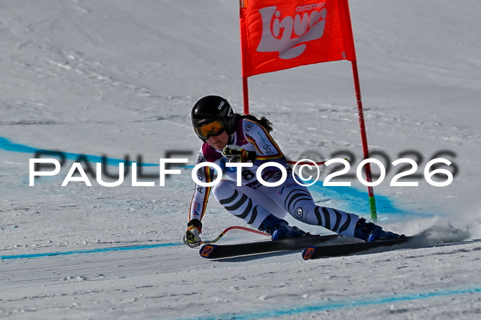 NC + NJC DH ,Frauen + Männer Axamer Lizum 25.03.2026