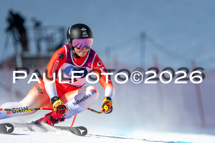 NC + NJC DH ,Frauen + Männer Axamer Lizum 25.03.2026