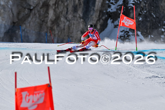 NC + NJC DH ,Frauen + Männer Axamer Lizum 25.03.2026