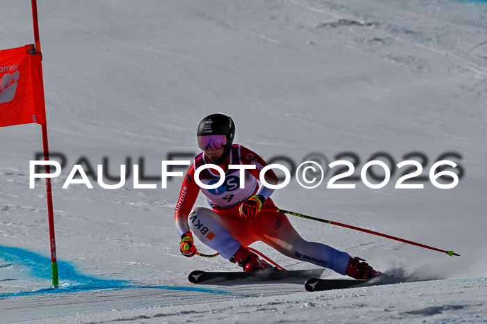 NC + NJC DH ,Frauen + Männer Axamer Lizum 25.03.2026