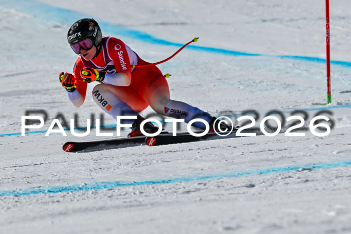 NC + NJC DH ,Frauen + Männer Axamer Lizum 25.03.2026