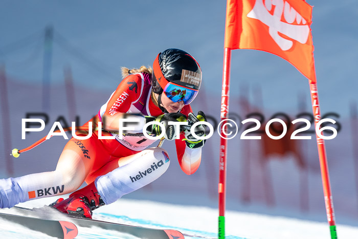 NC + NJC DH ,Frauen + Männer Axamer Lizum 25.03.2026