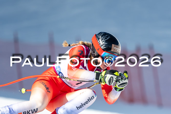 NC + NJC DH ,Frauen + Männer Axamer Lizum 25.03.2026