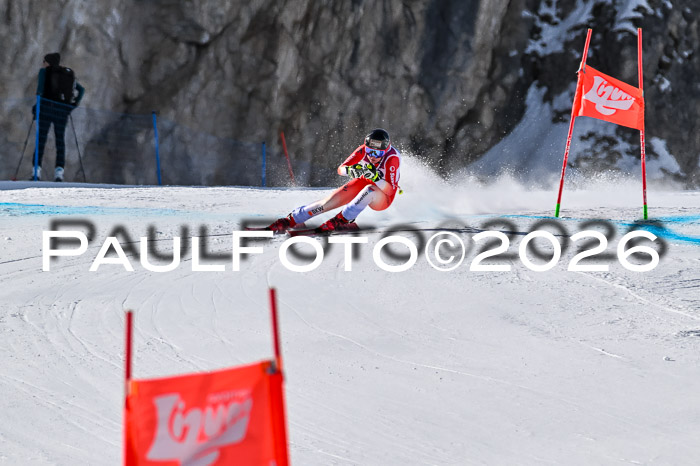 NC + NJC DH ,Frauen + Männer Axamer Lizum 25.03.2026