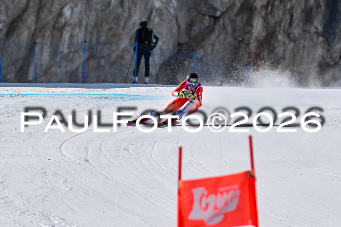 NC + NJC DH ,Frauen + Männer Axamer Lizum 25.03.2026
