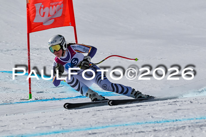 NC + NJC DH ,Frauen + Männer Axamer Lizum 25.03.2026