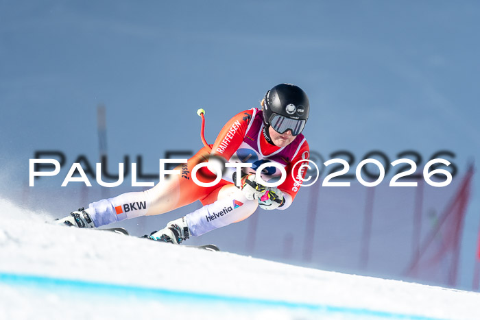 NC + NJC DH ,Frauen + Männer Axamer Lizum 25.03.2026