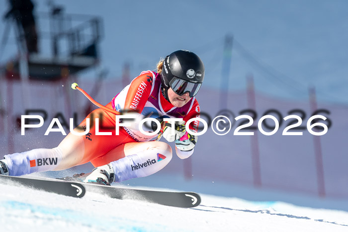 NC + NJC DH ,Frauen + Männer Axamer Lizum 25.03.2026