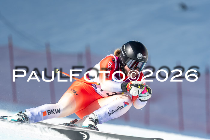 NC + NJC DH ,Frauen + Männer Axamer Lizum 25.03.2026