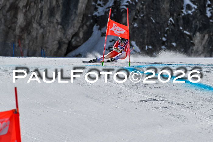 NC + NJC DH ,Frauen + Männer Axamer Lizum 25.03.2026