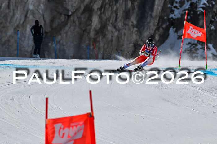 NC + NJC DH ,Frauen + Männer Axamer Lizum 25.03.2026