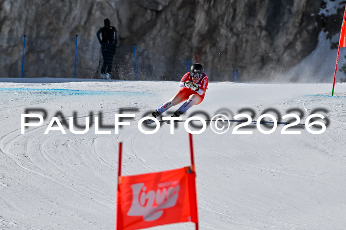 NC + NJC DH ,Frauen + Männer Axamer Lizum 25.03.2026