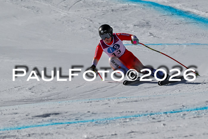 NC + NJC DH ,Frauen + Männer Axamer Lizum 25.03.2026