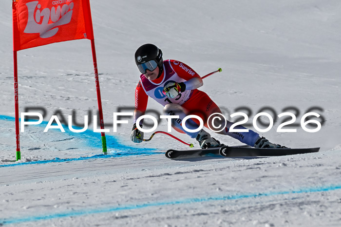 NC + NJC DH ,Frauen + Männer Axamer Lizum 25.03.2026