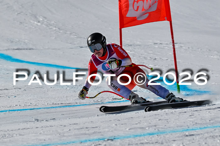 NC + NJC DH ,Frauen + Männer Axamer Lizum 25.03.2026