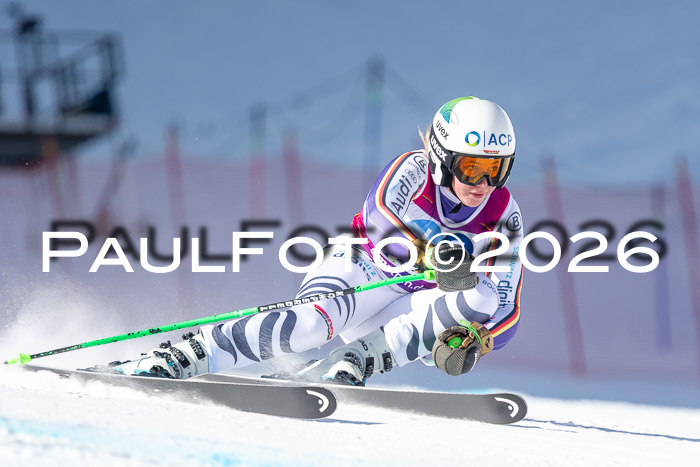 NC + NJC DH ,Frauen + Männer Axamer Lizum 25.03.2026