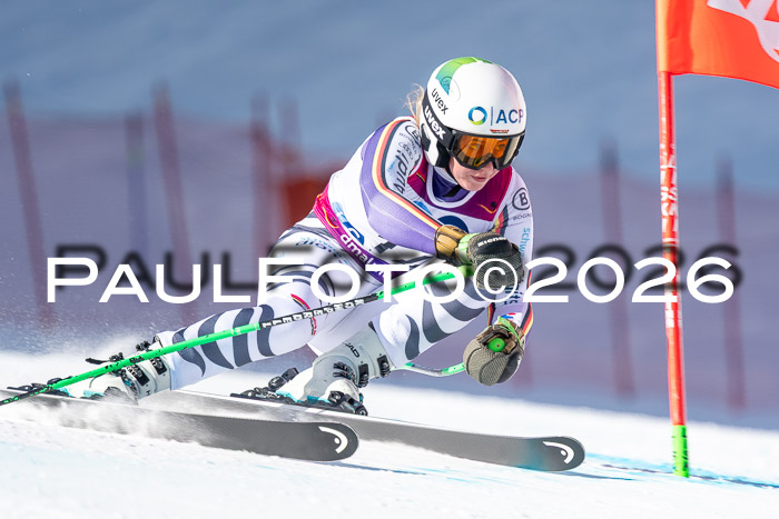 NC + NJC DH ,Frauen + Männer Axamer Lizum 25.03.2026