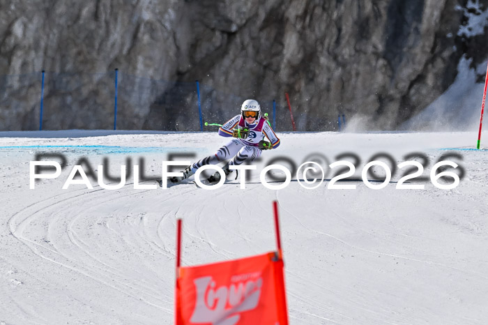 NC + NJC DH ,Frauen + Männer Axamer Lizum 25.03.2026