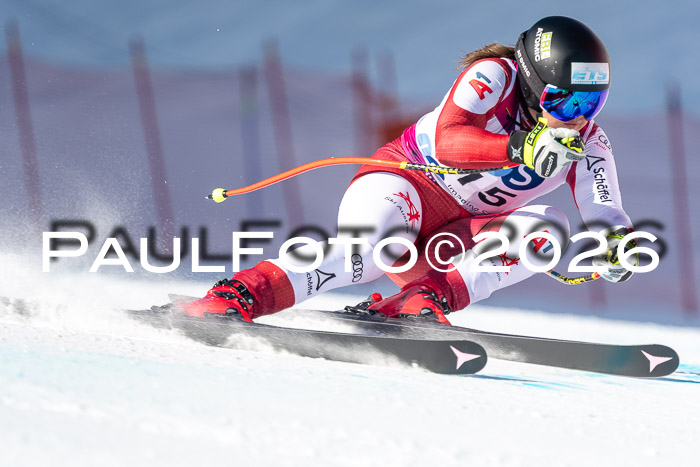 NC + NJC DH ,Frauen + Männer Axamer Lizum 25.03.2026