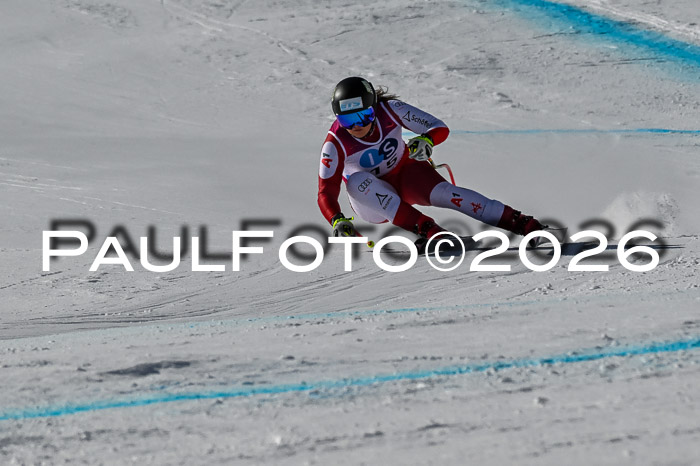 NC + NJC DH ,Frauen + Männer Axamer Lizum 25.03.2026