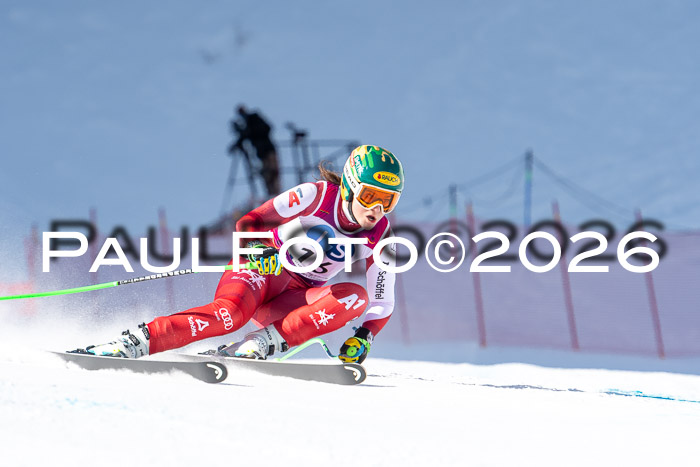 NC + NJC DH ,Frauen + Männer Axamer Lizum 25.03.2026