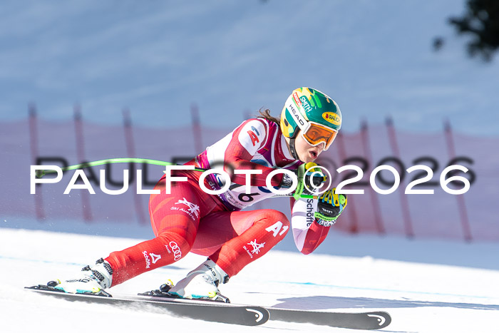 NC + NJC DH ,Frauen + Männer Axamer Lizum 25.03.2026