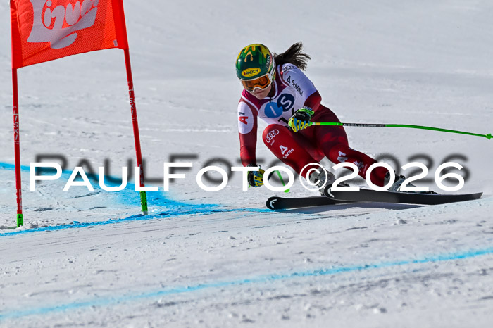 NC + NJC DH ,Frauen + Männer Axamer Lizum 25.03.2026