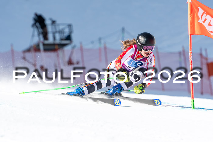 NC + NJC DH ,Frauen + Männer Axamer Lizum 25.03.2026