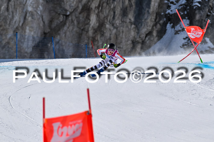 NC + NJC DH ,Frauen + Männer Axamer Lizum 25.03.2026