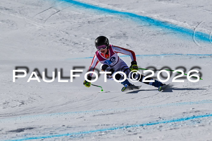 NC + NJC DH ,Frauen + Männer Axamer Lizum 25.03.2026