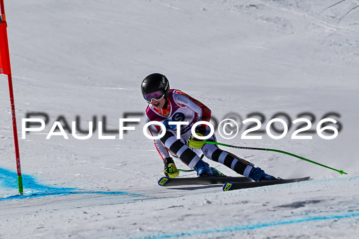 NC + NJC DH ,Frauen + Männer Axamer Lizum 25.03.2026