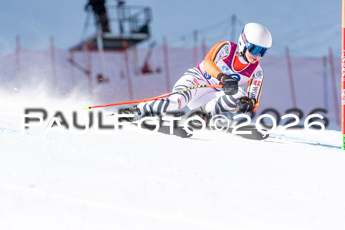 NC + NJC DH ,Frauen + Männer Axamer Lizum 25.03.2026