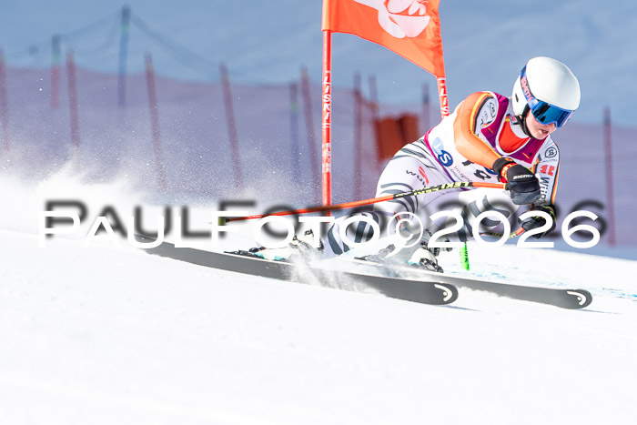 NC + NJC DH ,Frauen + Männer Axamer Lizum 25.03.2026