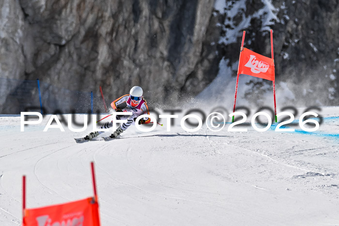 NC + NJC DH ,Frauen + Männer Axamer Lizum 25.03.2026