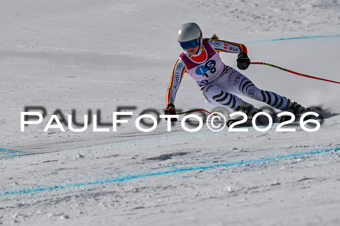 NC + NJC DH ,Frauen + Männer Axamer Lizum 25.03.2026