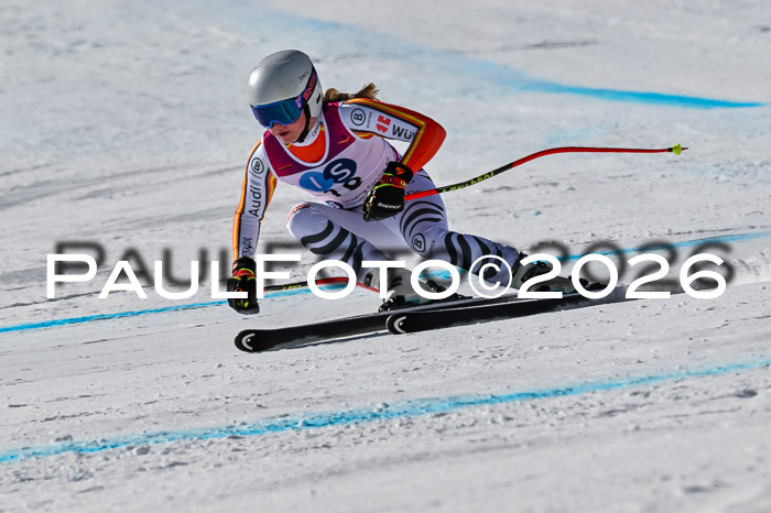 NC + NJC DH ,Frauen + Männer Axamer Lizum 25.03.2026