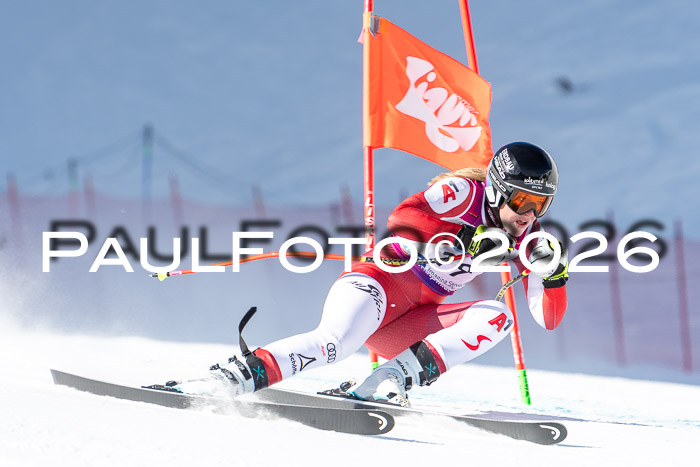 NC + NJC DH ,Frauen + Männer Axamer Lizum 25.03.2026