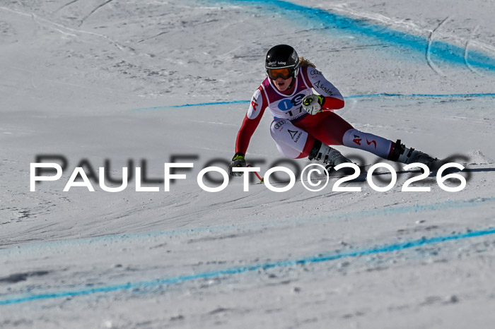 NC + NJC DH ,Frauen + Männer Axamer Lizum 25.03.2026